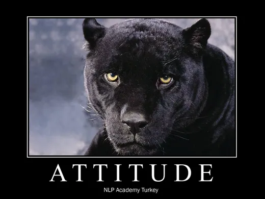 NLPAT.com posteri 3