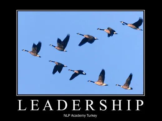 NLPAT.com posteri 7