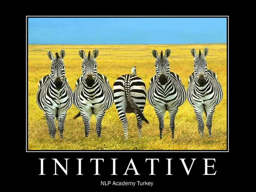 NLPAT.com posteri 14